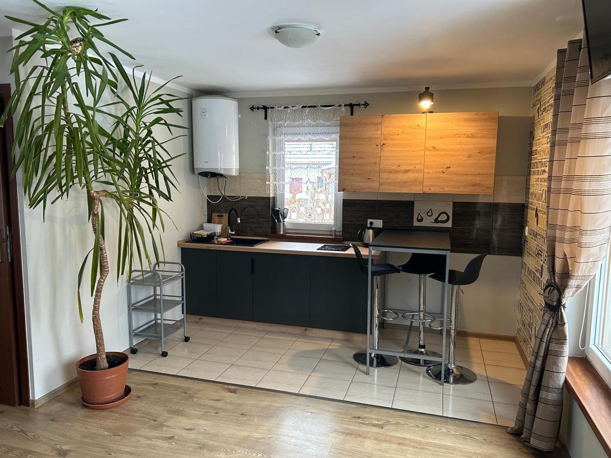 Apartamenty Antonio Кудова-Здрой Екстериор снимка